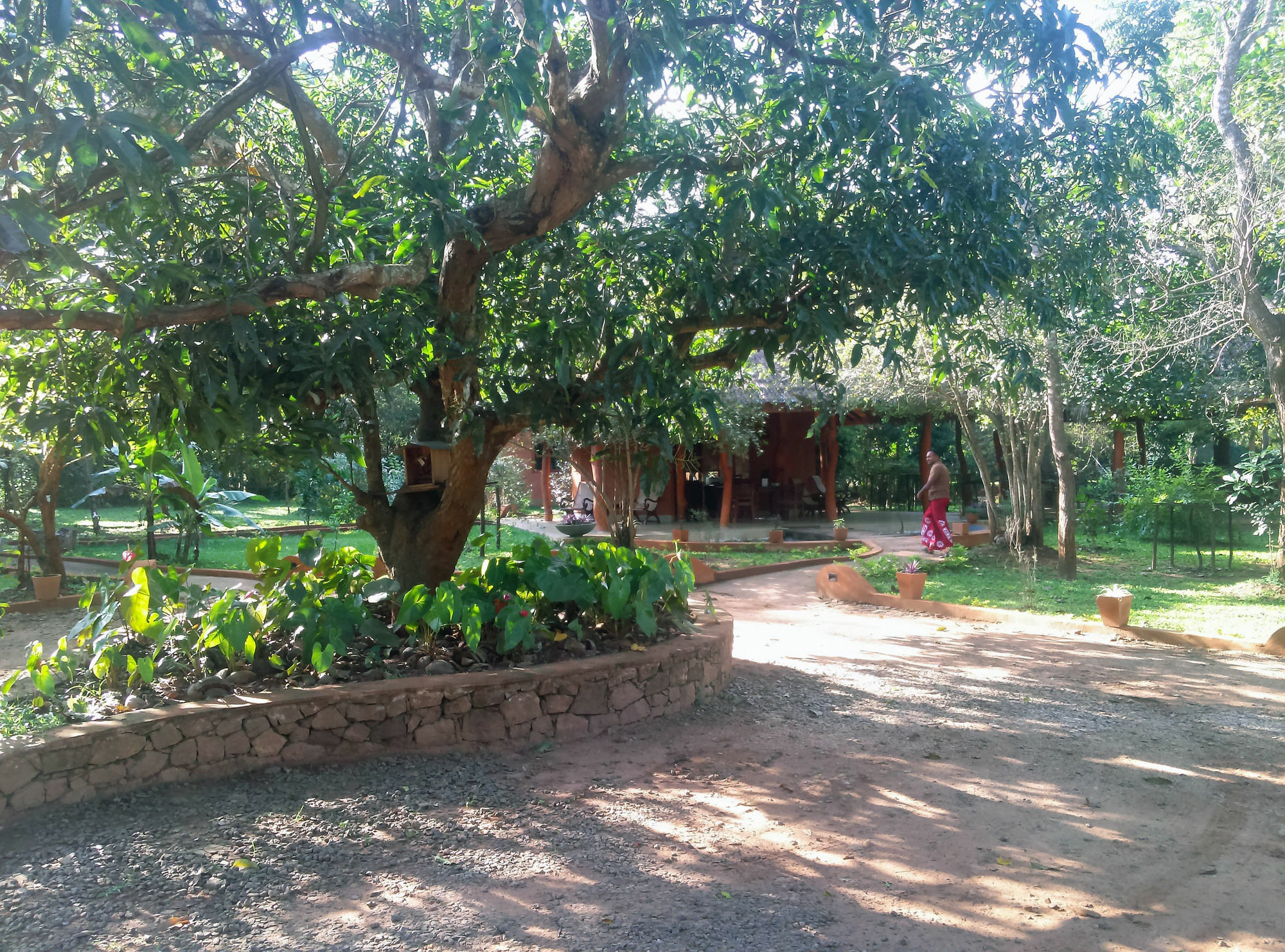 Kuwera Eco Lodge Sigiriya Exterior photo